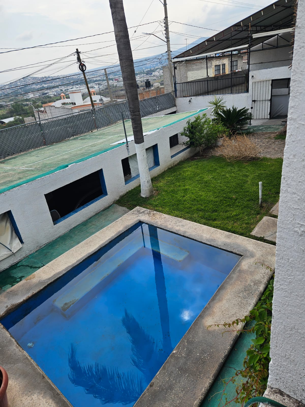 Imagen adicional