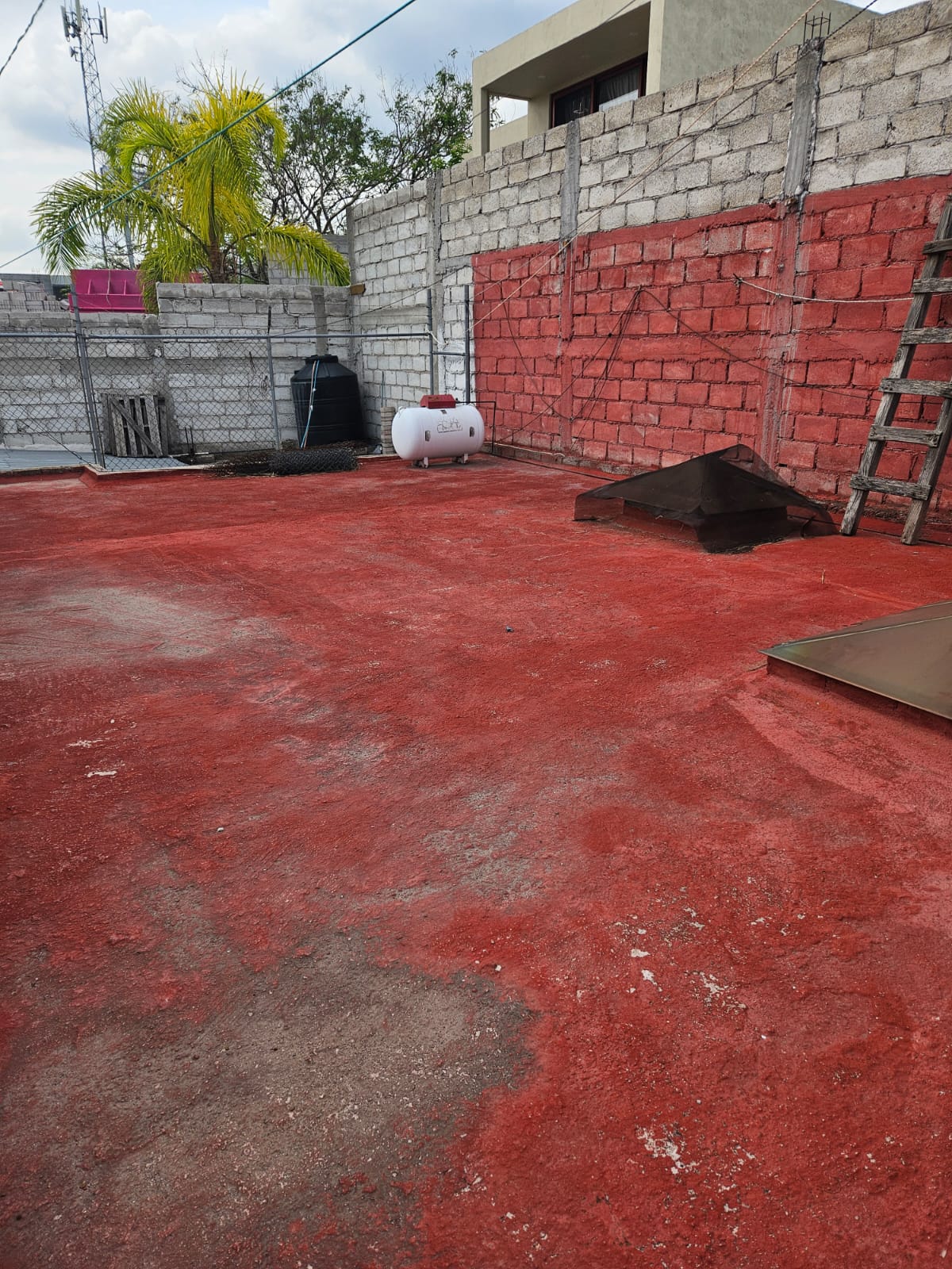 Imagen adicional