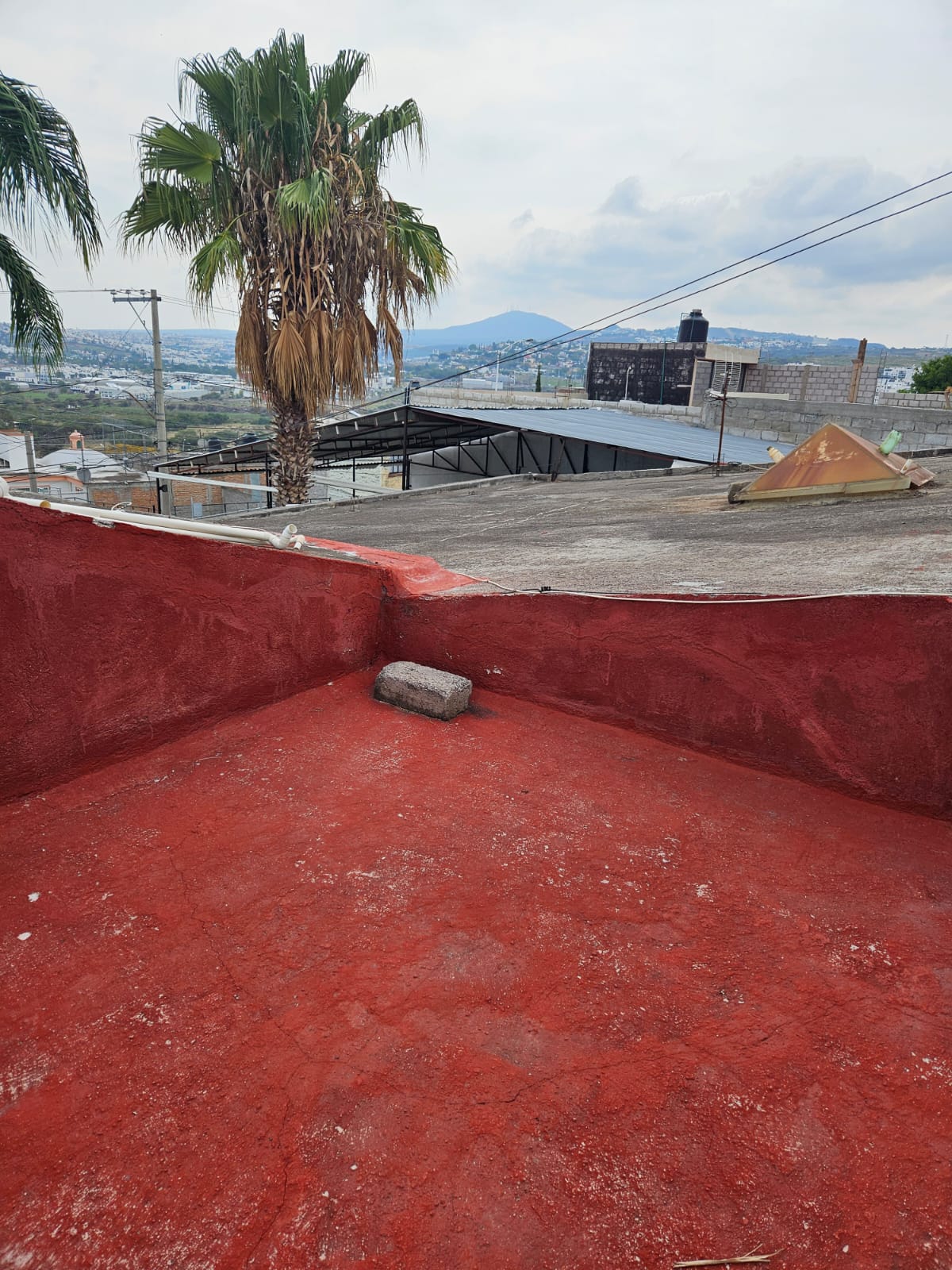 Imagen adicional
