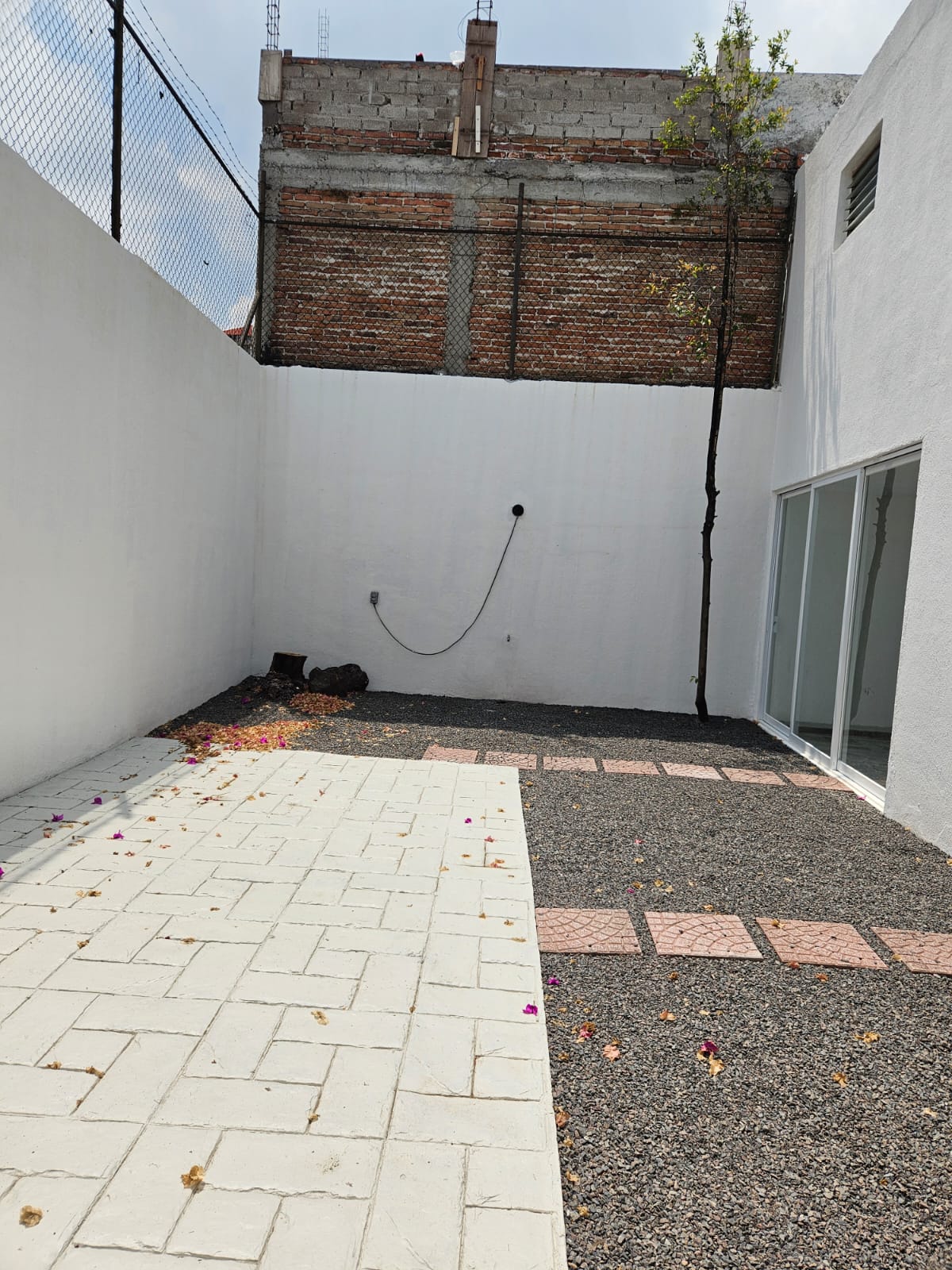 Imagen adicional