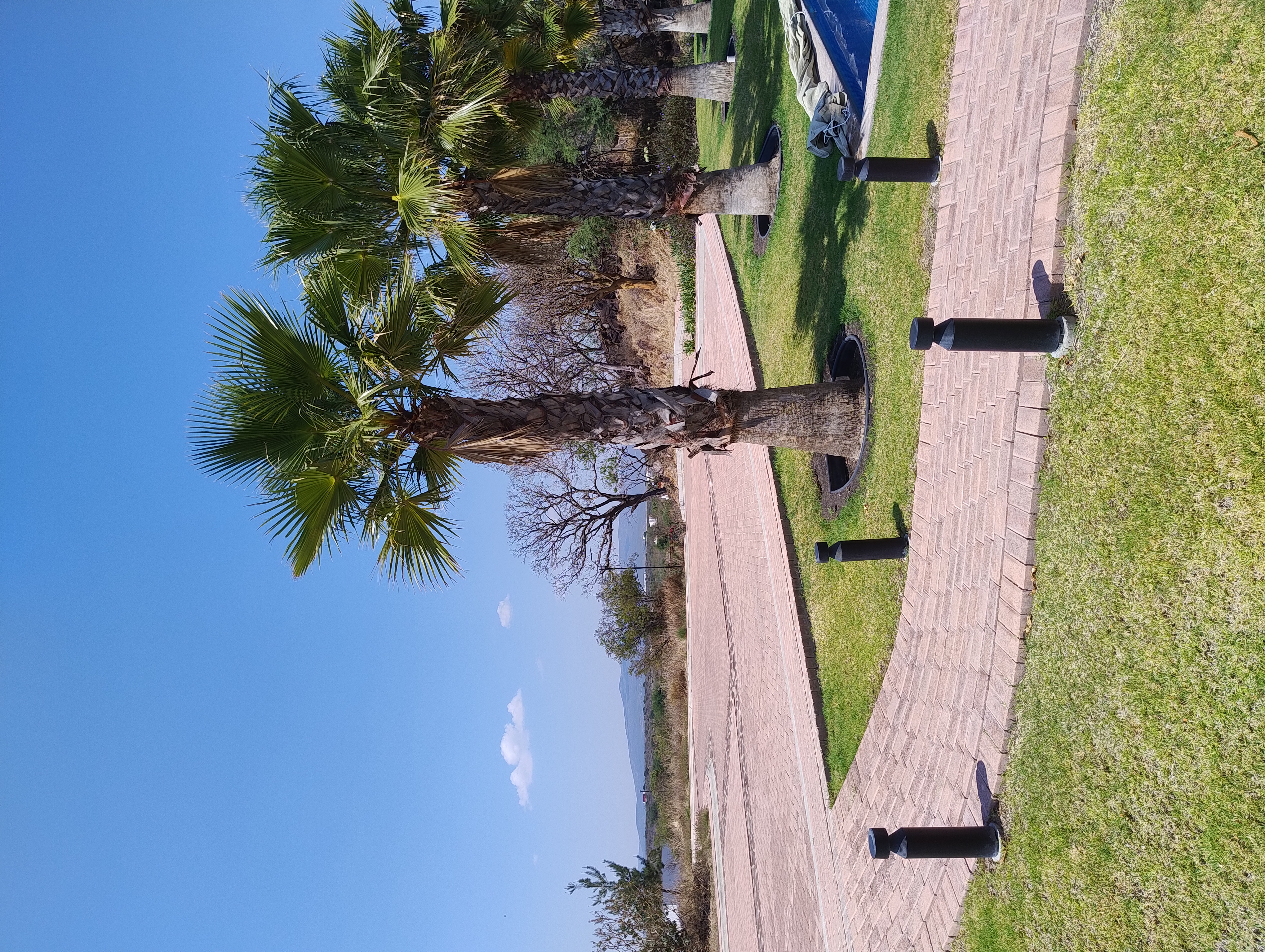 Venta de Terreno en CD Maderas Sur