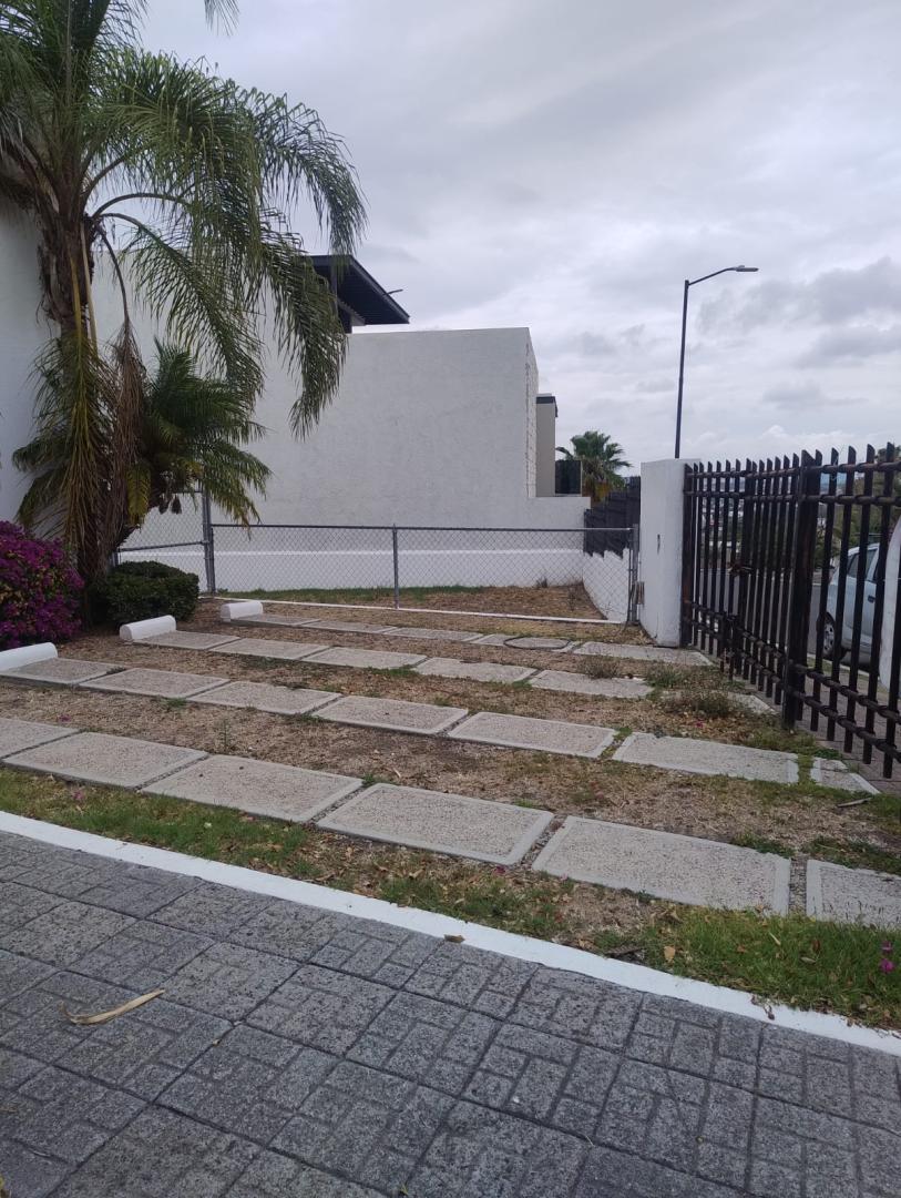 Imagen adicional